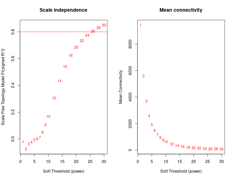 Scale Independence