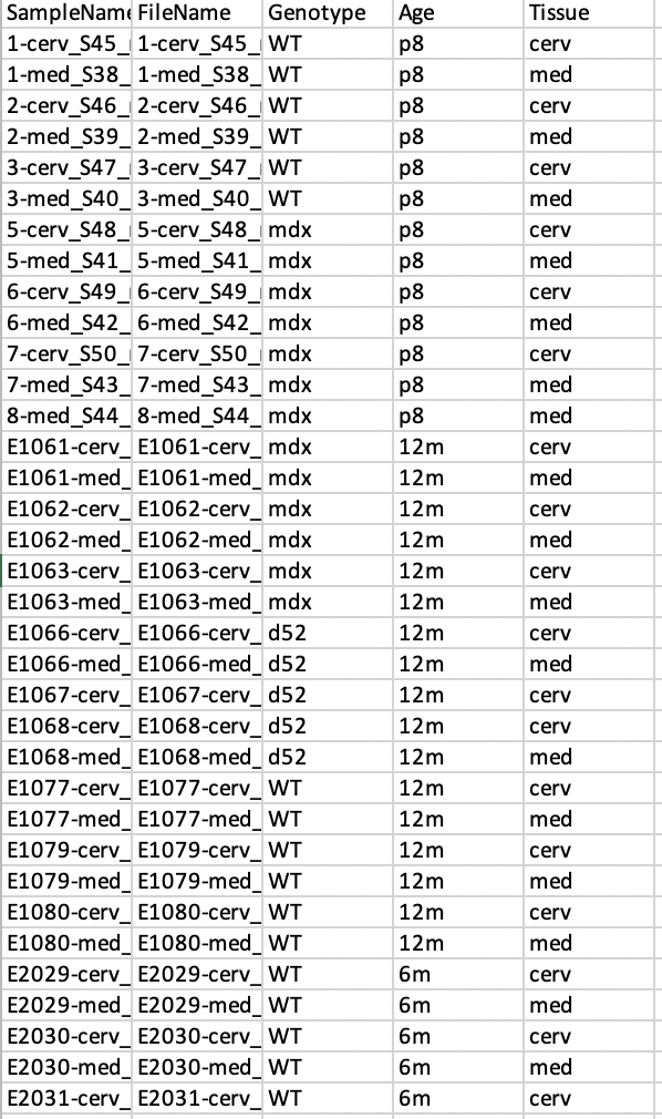 sample table