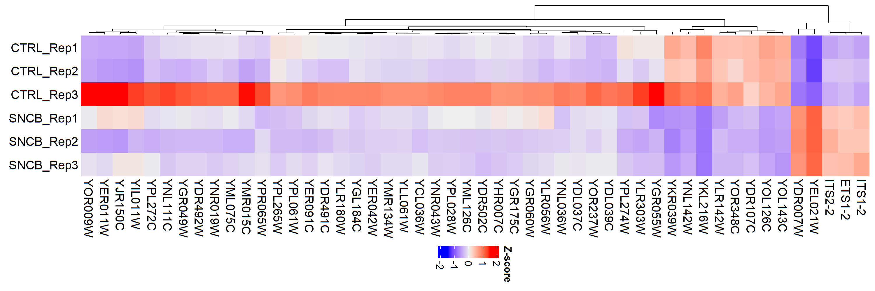 In the pic you can see one of the biological replicates acting as an outlier