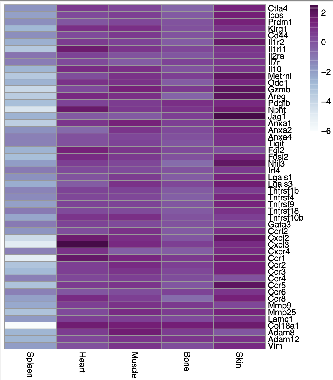 Heatmap with scale=FALSE, scale= "none"