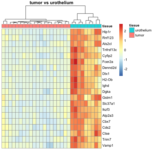 This is the tissue_tumor_vs_urothelium heatmap