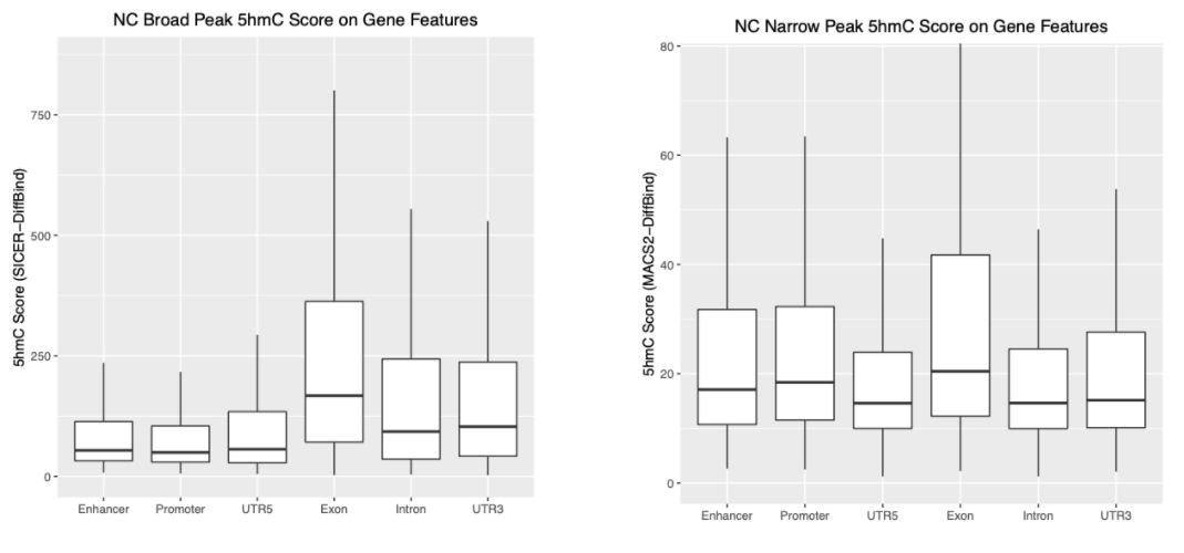 5hmC value across gene features