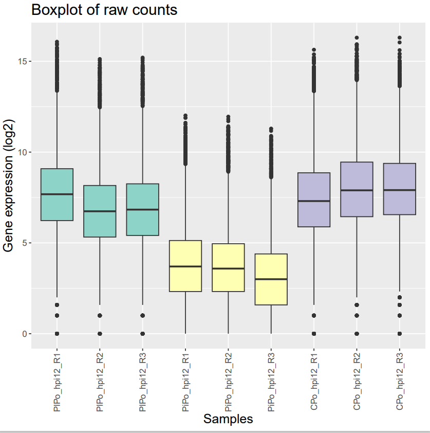 Boxplot log2(Raw counts before normalization