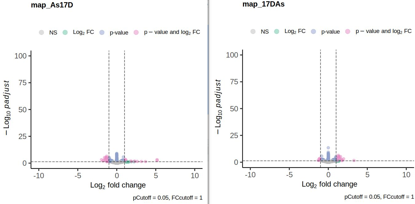 This are the two resulting volcano plots: