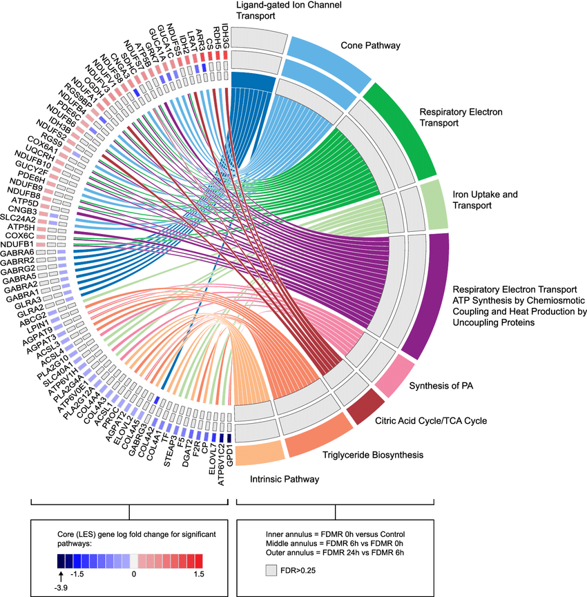 Fig 6 in PMID: 33674625. 