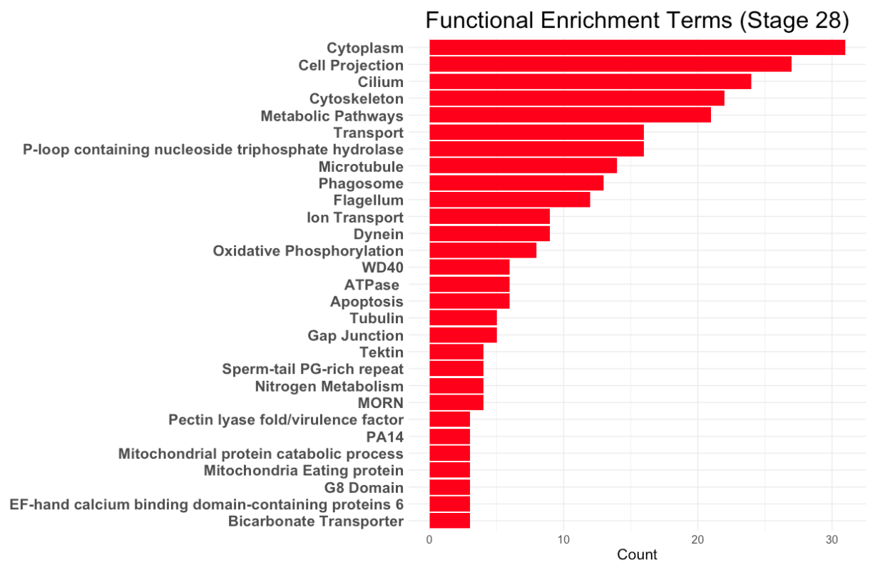 Graph showing clusters of genes that are functionally enriched, Counts are on the x-axis