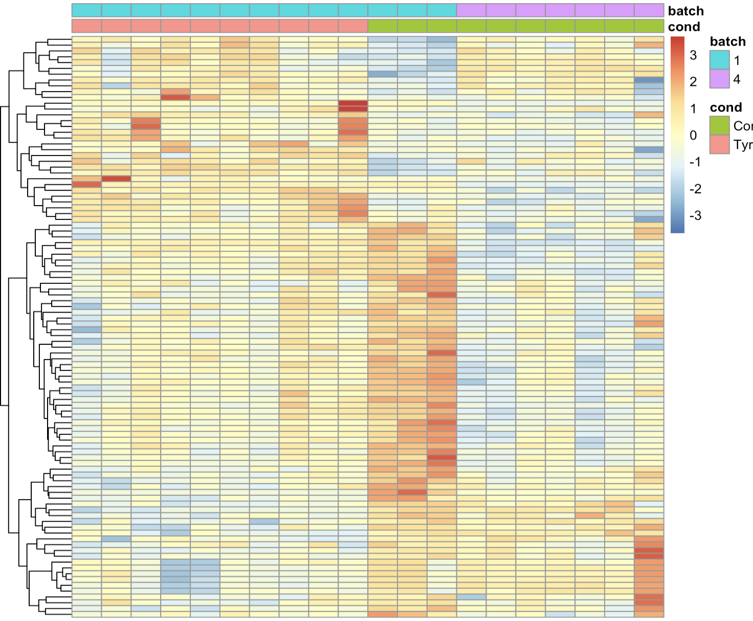 The heatmap