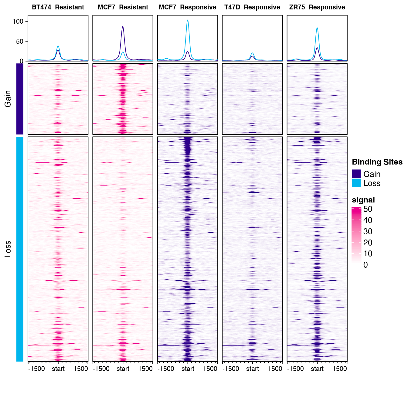 Default profile plot from `dba.plotProfile()` using sample analysis