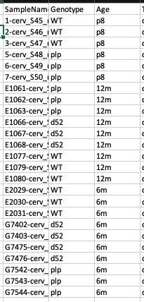 data set