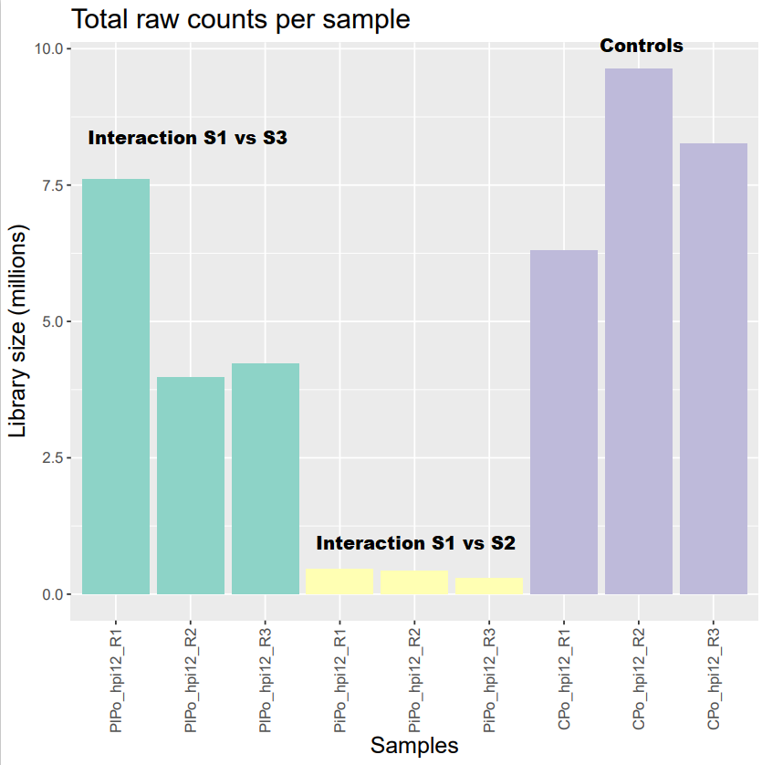 Library size for each sample