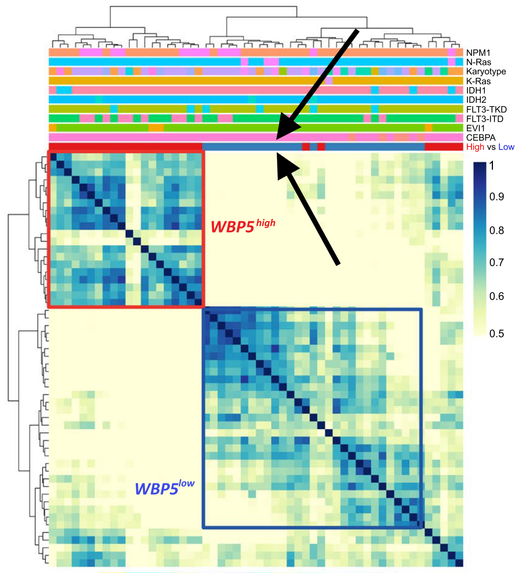 Example of output  of Consensus Caluster plot including customized annotation