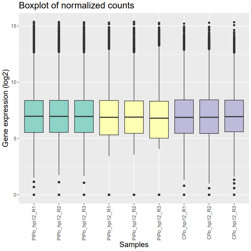 Boxplot log2 Normalized counts