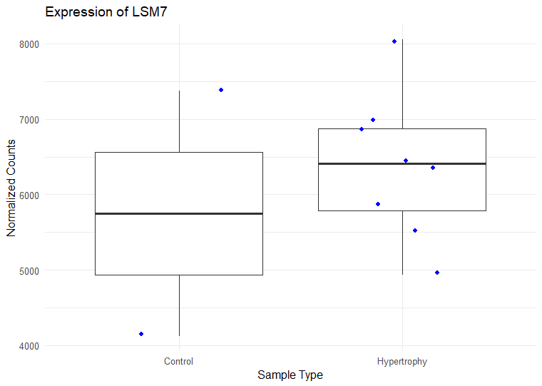 Plot of LSM7 normalized counts in control and hypertrophy samples