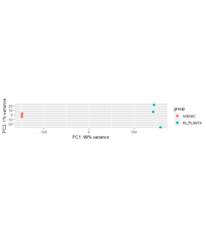 PCA