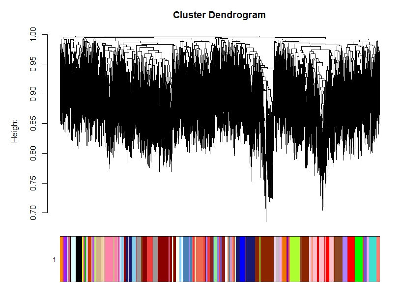 Example of Dendrogram with voom