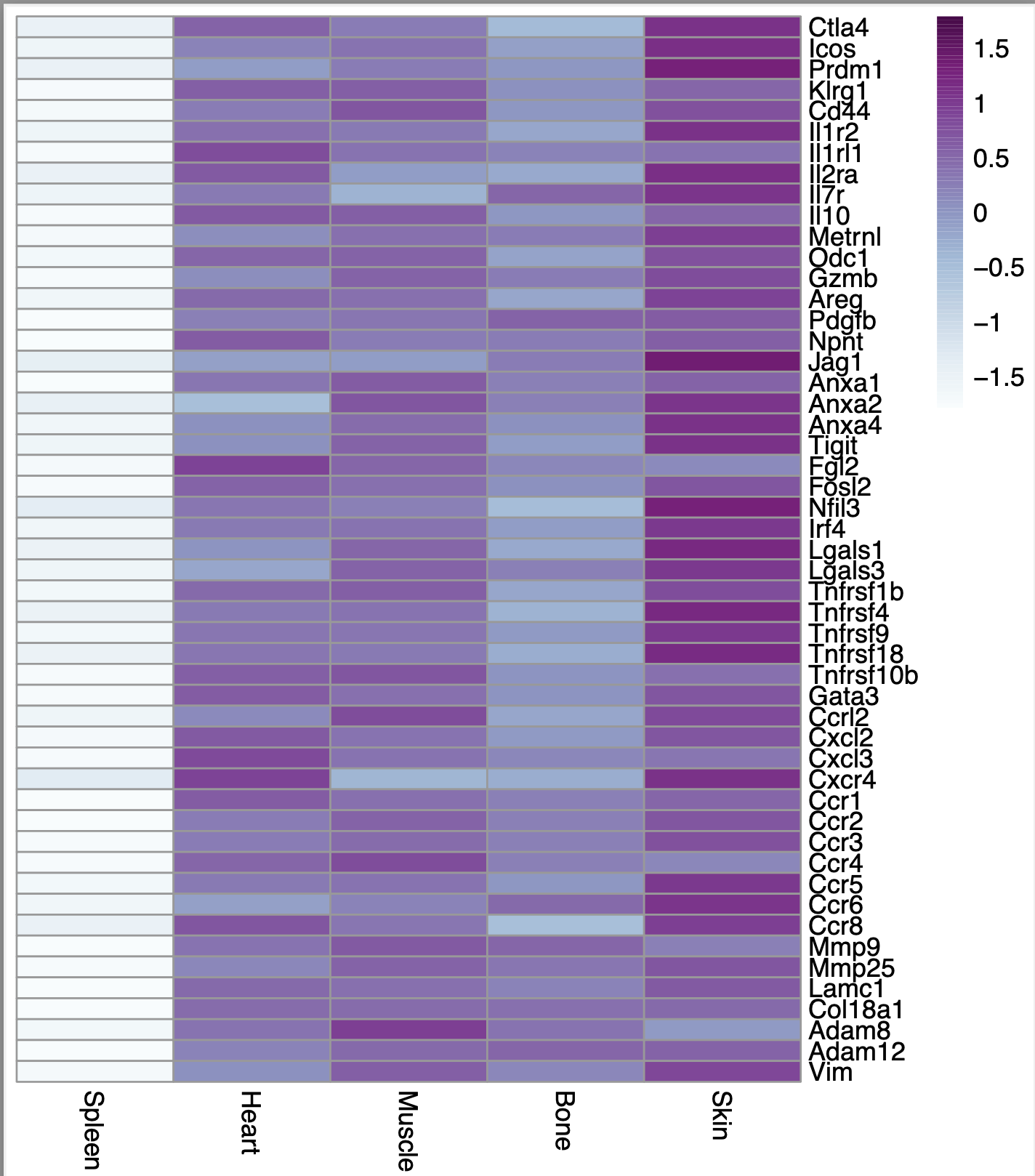 Heatmap with scale=TRUE or FALSE, scale="row"